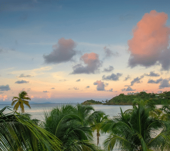 CI Blog Photo Thumbnail